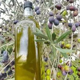 4-olio-nostro