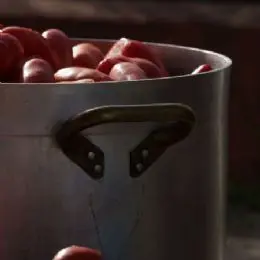 Pomodori in pentola